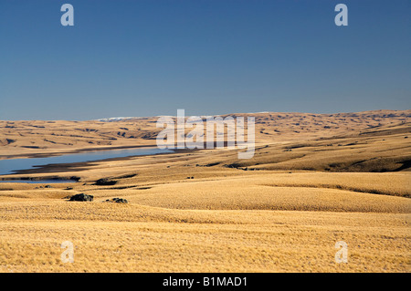 Lammermoor gamma Logan e masterizzare il serbatoio grande palude Moss vecchio sentiero Dunstan Central Otago Isola del Sud della Nuova Zelanda Foto Stock