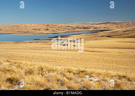 Lammermoor gamma Logan e masterizzare il serbatoio grande palude Moss vecchio sentiero Dunstan Central Otago Isola del Sud della Nuova Zelanda Foto Stock