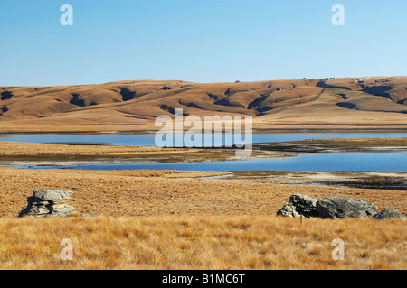 Logan masterizzare il serbatoio Grande Palude di Moss e gamma di Lammermoor vecchio sentiero Dunstan Central Otago Isola del Sud della Nuova Zelanda Foto Stock