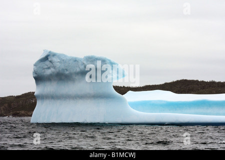 Gigantesco iceberg alla testimonianza Bay in oceano Atlantico nei pressi di Terranova Foto Stock