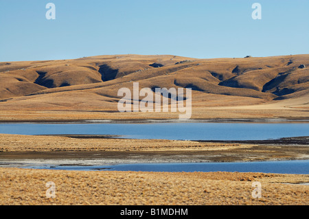 Logan masterizzare il serbatoio Grande Palude di Moss e gamma di Lammermoor vecchio sentiero Dunstan Central Otago Isola del Sud della Nuova Zelanda Foto Stock