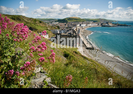 Aberystwyth una piccola stazione balneare e città universitaria , dal Constitution Hill, Cardigan Bay costa, pomeriggio estivo Wales UK Foto Stock