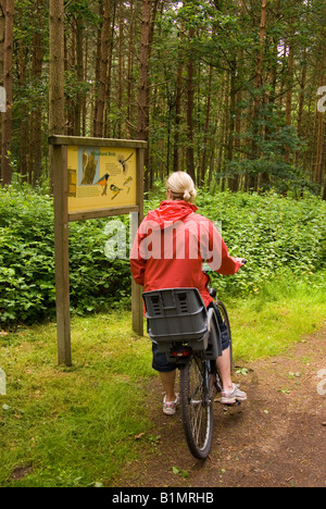 Donna che guarda la fauna selvatica di Bosco segno a Center Parcs a Elveden vicino a Thetford, Regno Unito Foto Stock