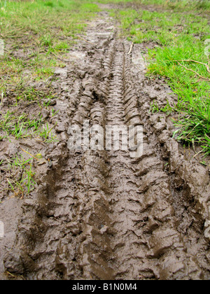 Bike tracce di pneumatici su un sentiero fangoso Foto Stock
