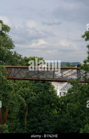 Kew Garden Treetop marciapiede Foto Stock