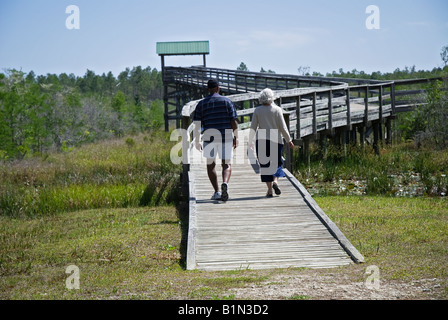 Visitatori al cipresso nana si affacciano a tati inferno la foresta di stato, North Florida. Foto Stock