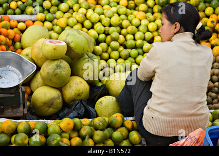 Ragazza vendita di agrumi, Kathmandu, Nepal Foto Stock