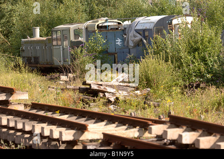 Un vecchio motore e carrozze ferroviarie utilizzate come capannoni vicino a Lydney stazione di giunzione GLOUCESTERSHIRE REGNO UNITO Foto Stock