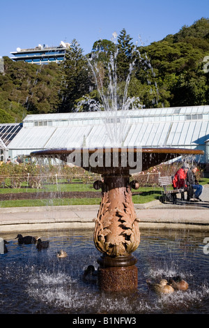 Anatre in appoggio sotto la fontana, Lady Norwood Giardino di Rose, Wellington, Nuova Zelanda Foto Stock