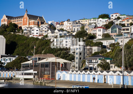 Vista su Clyde Quay marina di San Gerardo Monastero, Wellington, Nuova Zelanda Foto Stock