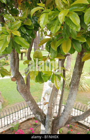 Giardini di Imperatrice Elisabeth Amalie Eugenie (noto anche come Sissi) Palazzo chiamato Achilleon a Gastouri, l'isola di Corfù, Grecia Foto Stock