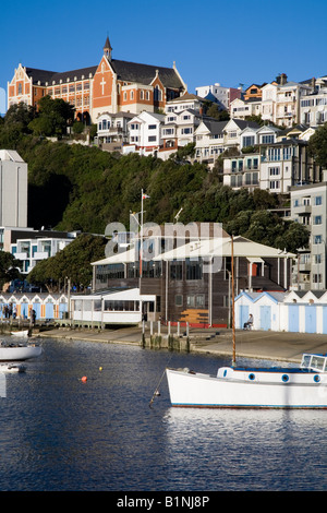 Vista su Clyde Quay marina di San Gerardo Monastero, Wellington, Nuova Zelanda Foto Stock