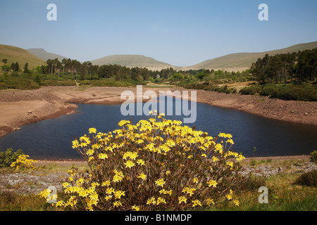 Neuadd inferiore serbatoio nel Parco Nazionale di Brecon Beacons Powys South Wales UK Foto Stock