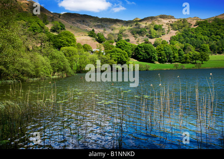 Loughrigg Tarn i colori di primavera a fine maggio intorno al litorale, il 'Lake District' Cumbria Inghilterra England Regno Unito Foto Stock