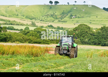 Deutz Fahr trattore costruito in Italia il taglio di silaggio in un campo Wiltshire in giugno con i gabbiani planare tettuccio Foto Stock