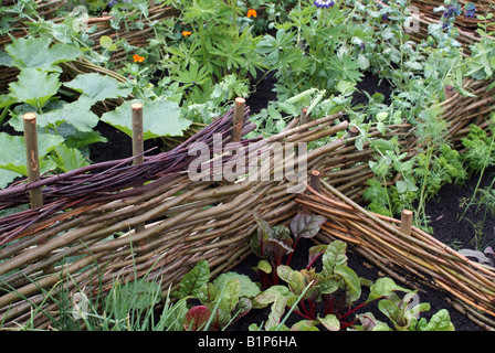 Barony College del giardino mostra intitolata "rinnovare" a Gardening Scotland 2008, Edimburgo Foto Stock