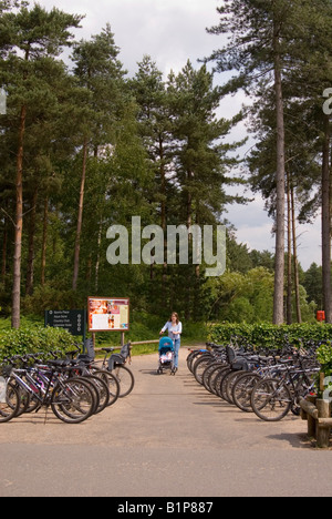 Center Parcs a Elveden vicino a Thetford, Regno Unito Foto Stock