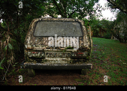 Una vecchia auto abbandonate nella foresta tropicale Foto Stock