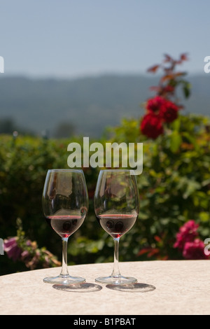 Due bicchieri di vino rosso Foto Stock
