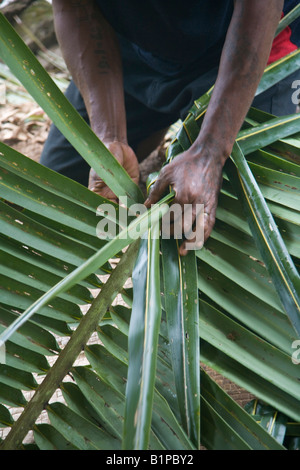 Tessitura Villaggio Vuniuto Taveuni Isole Figi Foto Stock