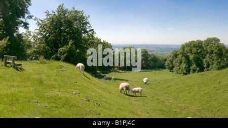 Vista su campagna e colline Foto Stock