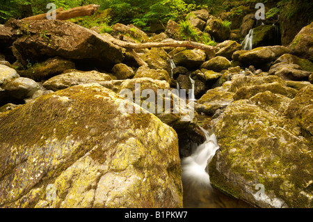 Lodore Falls in estate Keswick Lake District Cumbria Regno Unito Foto Stock