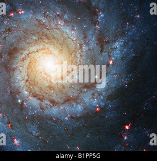 Galassia a spirale M74 ho Foto Stock