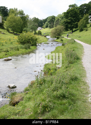 Le cascate del fiume Bradford, Bradford Dale, Youlgreave, Derbyshire Peak District Foto Stock