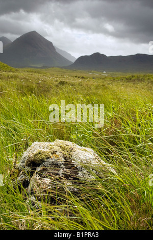 Montagne di Syke  Sligachan Carbost Isola di Skye, Highland, Scotland Regno Unito Foto Stock