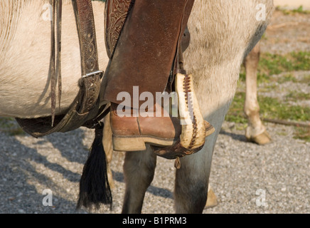 Cavaliere s boot nella staffa Foto Stock