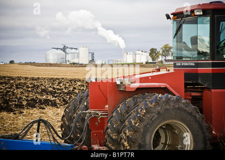 Recentemente raccolto sul campo di mais. Foto Stock