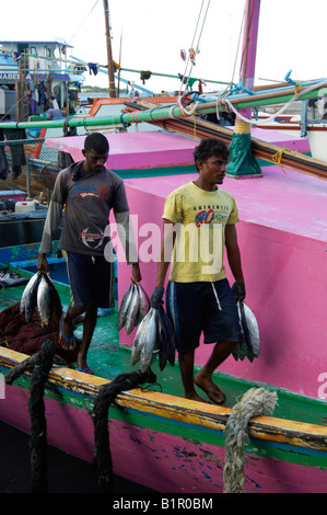 Gli uomini porta i giorni maschio di cattura Maldive Foto Stock