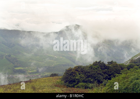 Eravikulam National Park nebbia aleggia su austera bellezza di praterie e shola in colline Rajamalai i Ghati Occidentali Kerala India Foto Stock