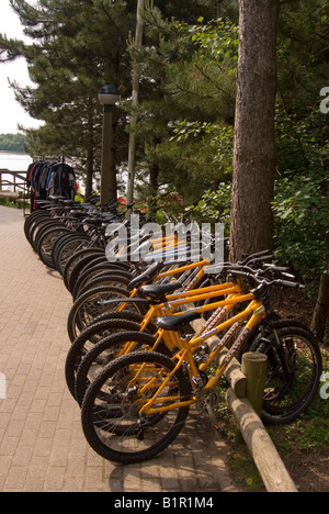 Biciclette a Center Parcs a Elveden vicino a Thetford, Regno Unito Foto Stock