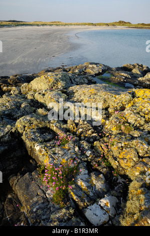Calette rocciose e spiagge di sabbia bianca lungo la costa tra Arisaig e Morar, altopiani, Scozia Foto Stock