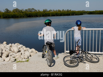 Un ragazzo e una ragazza in cerca di fauna selvatica su un viaggio in bici attraverso J N Ding Darling National Wldlife rifugio Sanibel Island Florida Foto Stock