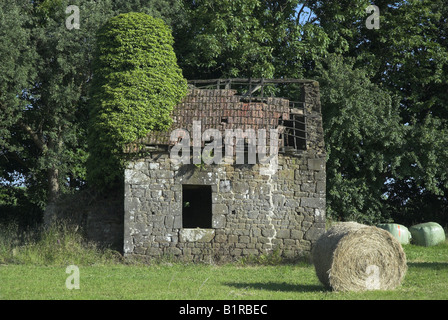 Abbandonato edificio agricolo, Le Teilleul, Normandia, Francia. Foto Stock