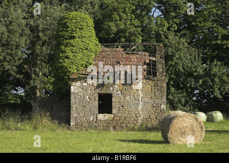 Abbandonato edificio agricolo, Le Teilleul, Normandia, Francia. Foto Stock