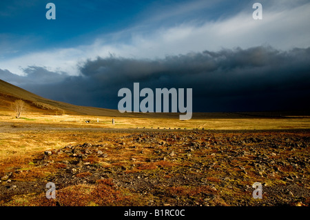 A Sandfell Sandfellsheidi Montagna. Skaftafell National Park. L'Islanda Foto Stock