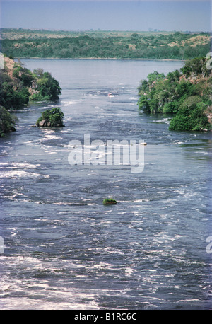 Guardando in giù il fiume Nilo dalla sommità di Murchison Falls Uganda Africa orientale Foto Stock