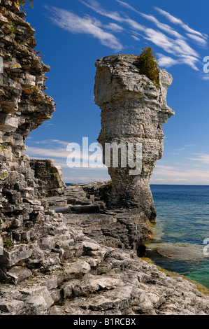 Grandi seastack della scarpata del Niagara sulla riva del vaso isola Georgian Bay Lago Huron Bruce Peninsula Ontario Canada Foto Stock