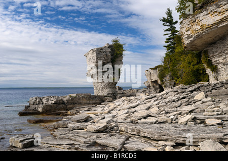 La Dolomite sulla sommità di calcare più morbido in seastacks sulla riva del vaso isola Bruce Peninsula Ontario Canada Foto Stock