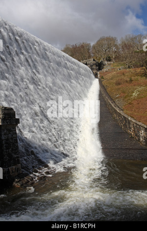 CRAIG GOCH DAM ACQUA DEPOSITO ELAN VALLEY GALLES Foto Stock