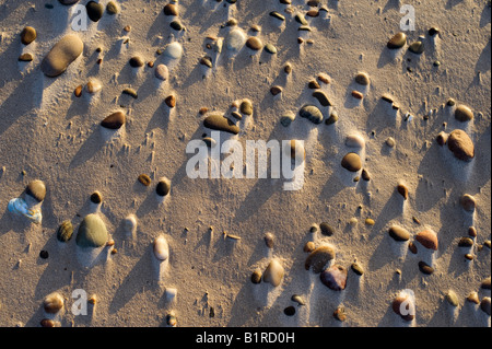 Sabbia e ciottoli su un ventoso findhorn spiaggia al tramonto. La Scozia. Spiaggia di disegno astratto Foto Stock