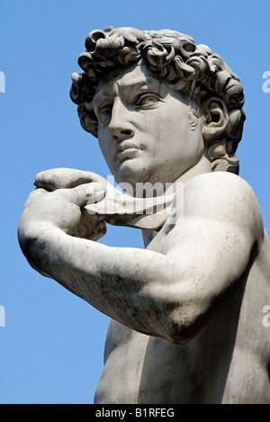 Dettaglio del rinascimento della statua del David di Michelangelo Buonarroti, Firenze, Sito Patrimonio Mondiale dell'UNESCO, Toscana, Italia, Eur Foto Stock