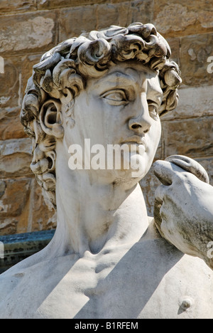 Dettaglio del rinascimento della statua del David di Michelangelo Buonarroti, Firenze, Sito Patrimonio Mondiale dell'UNESCO, Toscana, Italia, Eur Foto Stock