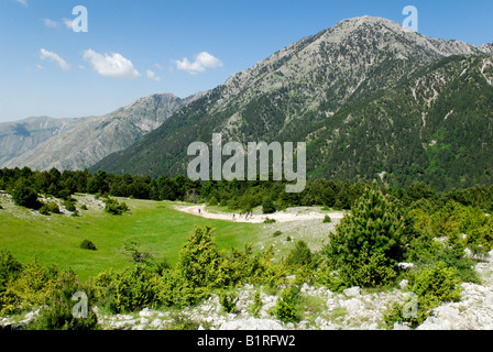 Paesaggio in Llogara Llogara, Parco Nazionale, Albania, Europa Foto Stock