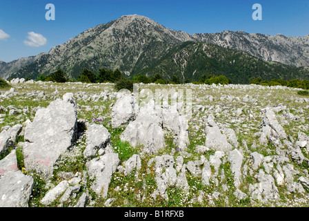 Il calcare e carso in Llogara Llogara, Parco Nazionale, Albania, Europa Foto Stock