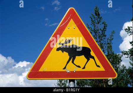 Segnale di avvertimento di attraversamento alci vicino Kuipio, Finlandia e Scandinavia, Europa Foto Stock