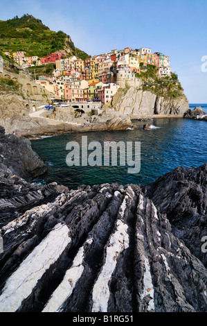 Villaggio di Manarola arroccata su ripide scogliere lungo la costa della Liguria Cinque Terre, Italia, Europa Foto Stock